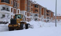 Bitlis’te 213 köy yolu ulaşıma açıldı