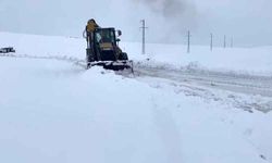 Ağrı’da kapalı köy yolları ulaşıma açılıyor