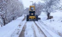 Van’da 303 yerleşim yerinin yolu ulaşıma kapandı