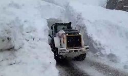 Hakkari'de çığ bölgesindeki çalışmalarda 10 metre yüksekten düşen ekip şefi yaralandı