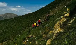 Son Dakika: Gevaş ilçesinde bir kadın kayalıklardan düştü 