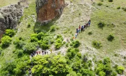 Doğal terapi, hem geziyorlar hem stres atıyorlar