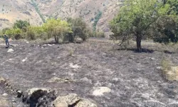 Çatak ve Saray'da Çıkan Yangınlar Söndürüldü