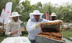 Ağrı’nın tescilli Geven Balından 400 ton verim hedefleniyor