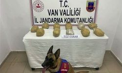 Van’da uyuşturucu operasyonu