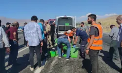 Trafik kazasında hayatını kaybeden iki kişinin ismi belli oldu 