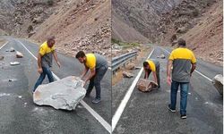 Van-Hakkari-Çukurca kara yoluna kaya düştü