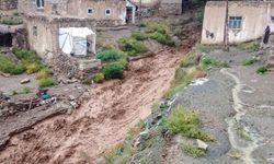 Van’ın Başkale İlçesinde Sel Felaketi: Selde Konteyner Ev Sürüklendi