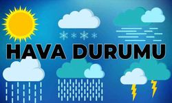 Van ve ilçeleri için 15 günlük hava durumu