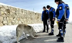 Başkomiser Selman Beğde'nin ilçeden ayrılması sevenlerini üzdü