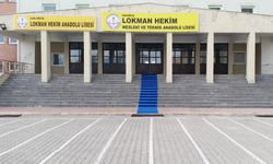 Erciş Lokman Hekim Mesleki ve Teknik Anadolu Lisesi nerede, nasıl gidilir?