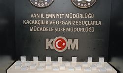 Van’da gümrük kaçakçılığı operasyonu