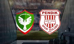 Amedspor - Pendikspor Maçı Iğdır'a Alındı: Stadyum Zemini Elverişsiz