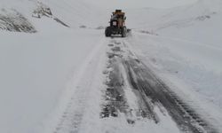 Hakkari'de ekim ayında kar mesaisi