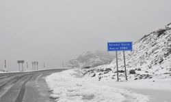 3 bin rakımlı Van Karabet Geçidi'nde kar yağışı etkili oldu