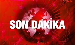 Son Dakika! Van Erciş Devlet Hastanesi Önünde Kanlı Saldırı