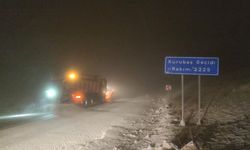 Karabet Geçidi trafiğe kapatıldı