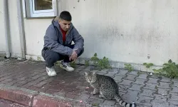 Kedi işçinin dönerini çaldı