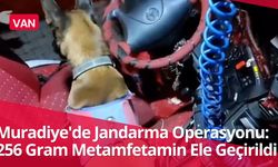 Van Muradiye'de Jandarma Operasyonu: 256 Gram Metamfetamin Ele Geçirildi