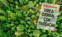 Van’a orman çok yakışacak, 2 milyon fidan toprakla buluşacak