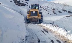 Büyükşehir Belediyesi’nden kar temizleme ve yol çalışması