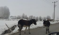 Van'da Soğuk Hava Etkisini Sürdürüyor