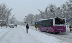 Van'da soğuk havalar cildi tehdit ediyor: Uzmanlar uyarıyor