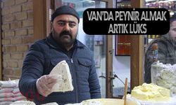 Artan Süt Fiyatları Van Otlu Peynirini de Vurdu