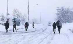 Bu tarihlere dikkat! Bitlis'e kar yağacak