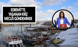 Edremit’te yaşanan kriz meclis gündeminde