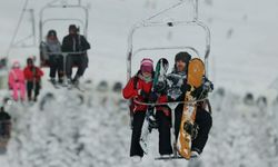 Erek Dağı Kayak Tesisi Projesi Unutuldu mu? Van’a kayak tesisi şart