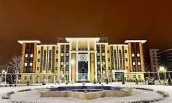 Tuşba Belediyesi Araç ve İş Makinası Kiralayacak