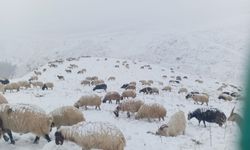 Van Başkale’de Kar ve Tipi Hayatı Olumsuz Etkiliyor