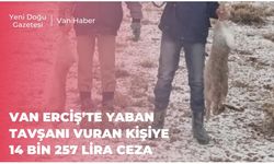 Van Erciş’te Yaban Tavşanı Vuran Kişiye 14 Bin 257 Lira Ceza