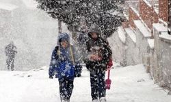 Hakkari’de yarın okullar tatil olacak mı?