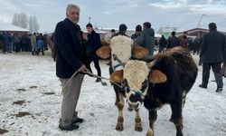 Hayvan Pazarı'nda dondurucu soğuk çileye dönüştü