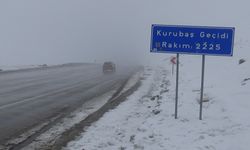 Van'da yoğun sis, yüksek kesimlerde trafiği zorlaştırıyor