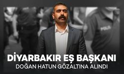 Diyarbakır Büyükşehir Belediyesi Eşbaşkanı Van’da Gözaltına Alındı!