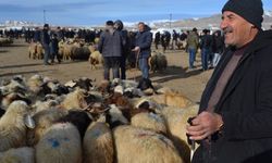 Van’daki Tarım ve Hayvancılık Krizi Meclis Gündeminde