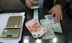 Merkez Bankası, Van'a komşu ülkenin parasını döviz listesinden çıkardı