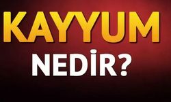 Kayyum Nedir? Hangi Durumlarda Kayyum Atanır?