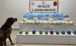 Van’ın 7 ilçesinde 110 kilo uyuşturucu ele geçirildi