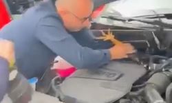 Araç motoruna bu kez kedi değil, horoz girdi