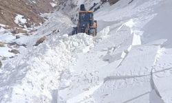 Meteoroloji'den Doğu Anadolu'daki 7 İl İçin Çığ Uyarısı