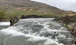 Muradiye’de Av Yasağı Denetimi