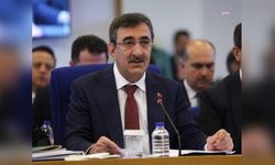 Cumhurbaşkanı Yardımcısı Yılmaz: "Özel’e yapılan saldırıyı şiddetle kınıyorum"