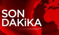 Son Dakika: Bingöl’de otomobil dereye uçtu: 7 yaralı