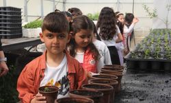 Van’da Minik Öğrenciler Serada Doğayla Buluştu