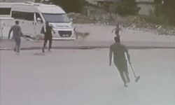 Sokak köpekleri çocuğa saldırdı