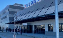 Hayvan Otlatma Tartışması Bıçaklı Kavgaya Dönüştü